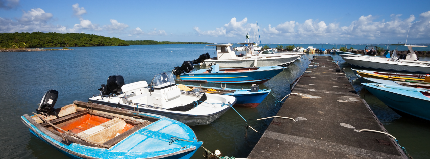 La pêche au gros en Guadeloupe